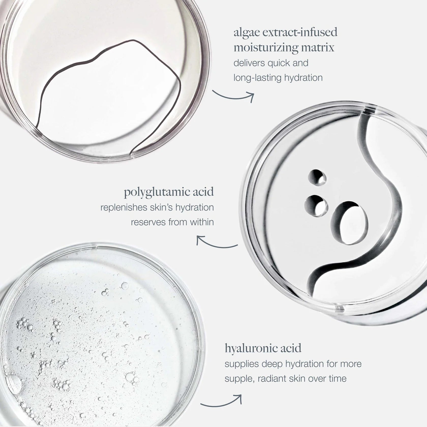 Circular Hydration Serum (7238482985138)